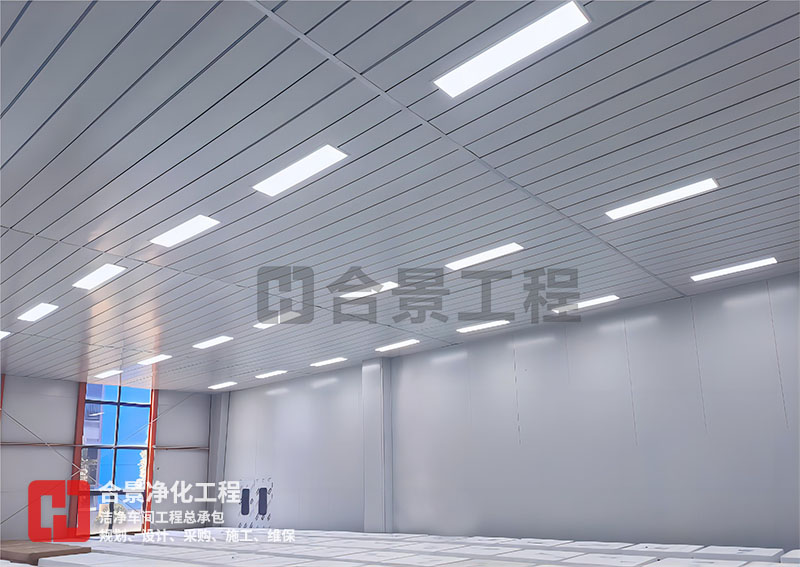 鋰電池?zé)o塵車(chē)間廠房建設(shè) 鋰電池?zé)o塵車(chē)間廠房建設(shè)