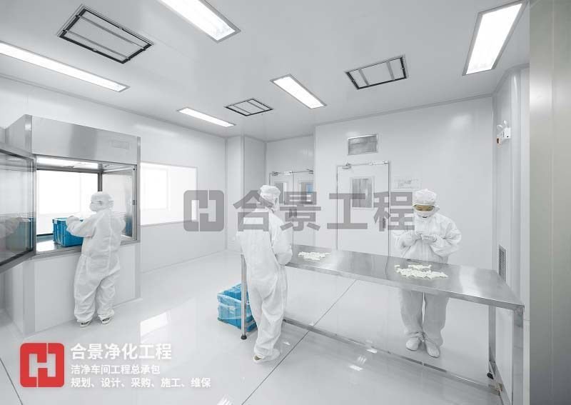 制藥廠凈化車間 制藥廠凈化車間