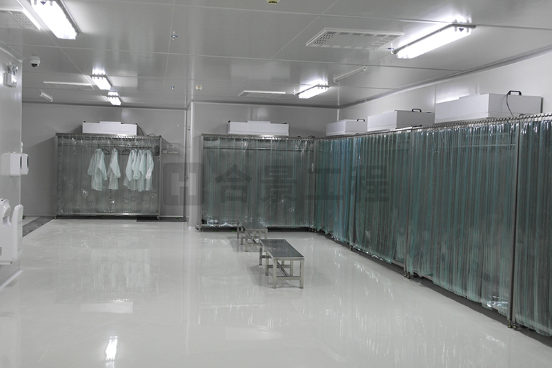 瑞立科密凈化工程案例 瑞立科密凈化工程案例